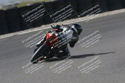 media/Oct-12-2025-CRA (Sun) [[e621380112]]/Races/Race 10/